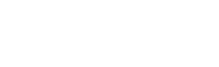 Emeron Infospace